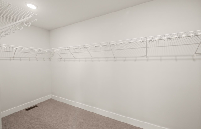 6232 Marsh, Ypsilanti, MI 48197 - walk in closet with carpet