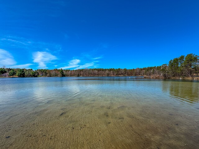 153 Tippi Trl, Buckley, MI 49620 - water view featuring a forest