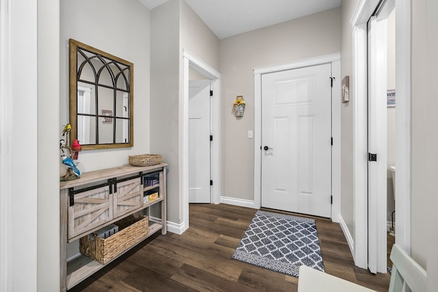 153 Tippi Trl, Buckley, MI 49620 - foyer entrance featuring dark wood-style flooring and baseboards