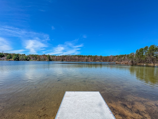 153 Tippi Trl, Buckley, MI 49620 - water view with a forest