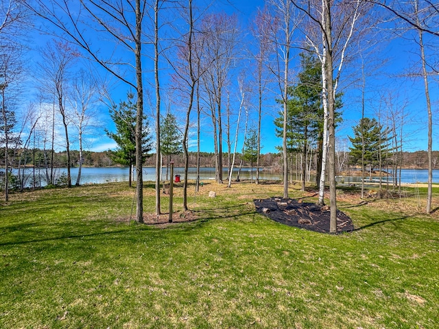 153 Tippi Trl, Buckley, MI 49620 - view of grassy yard featuring a water view