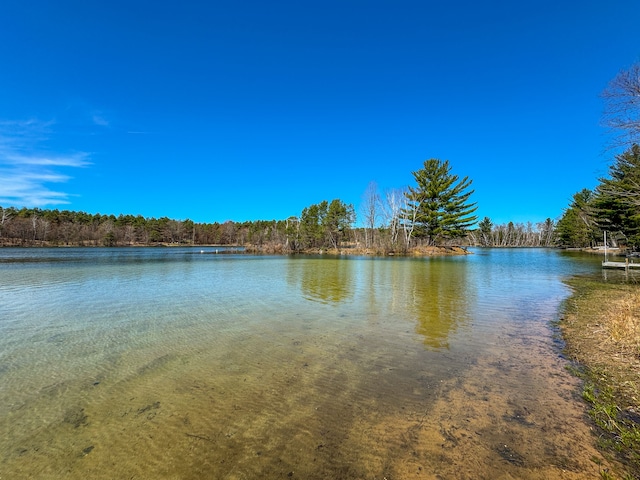 153 Tippi Trl, Buckley, MI 49620 - water view with a heavily wooded area