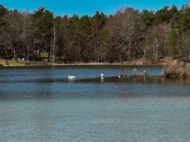 153 Tippi Trl, Buckley, MI 49620 - water view with a heavily wooded area