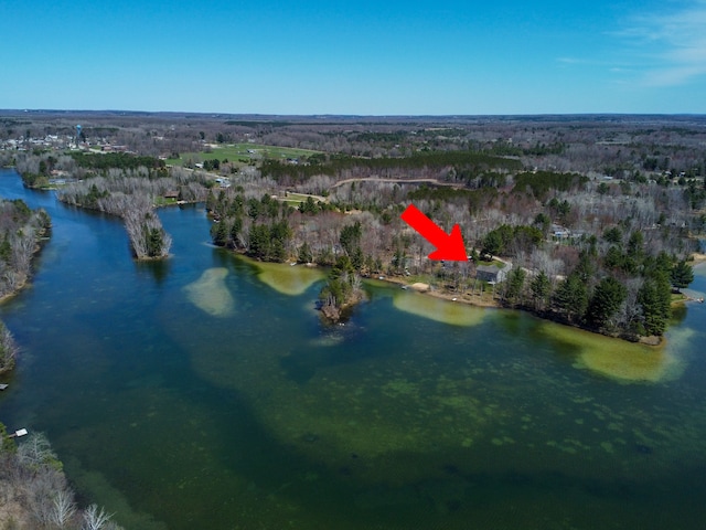 153 Tippi Trl, Buckley, MI 49620 - view of property location featuring a nearby body of water