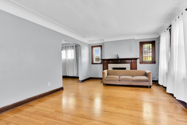 3835 Courville St, Detroit, MI 48224 - living room featuring arched walkways, light wood finished floors, a fireplace, and baseboards