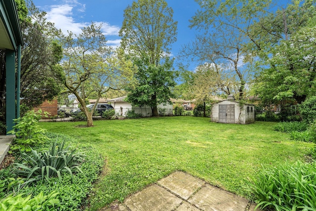 view of yard with a storage shed and an outbuilding