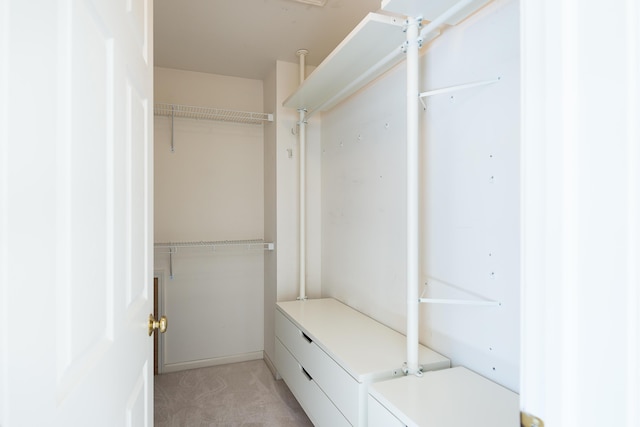 1953 Harley Ct, Ann Arbor, MI 48103 - walk in closet featuring light colored carpet