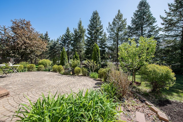1953 Harley Ct, Ann Arbor, MI 48103 - view of home's community