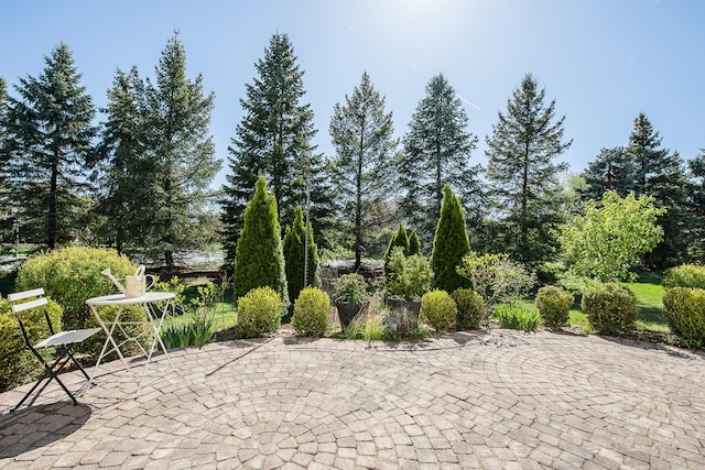1953 Harley Ct, Ann Arbor, MI 48103 - view of patio