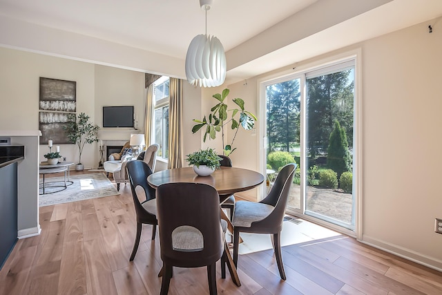 1953 Harley Ct, Ann Arbor, MI 48103 - dining space featuring a fireplace, plenty of natural light, light wood-type flooring, and baseboards