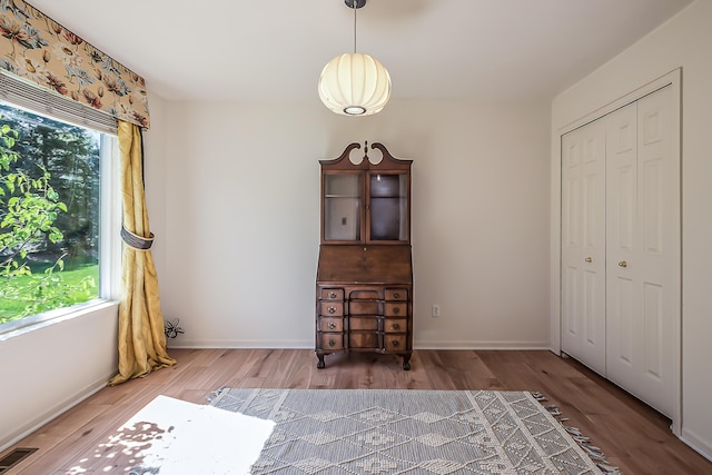 1953 Harley Ct, Ann Arbor, MI 48103 - interior space with wood finished floors, a closet, and baseboards
