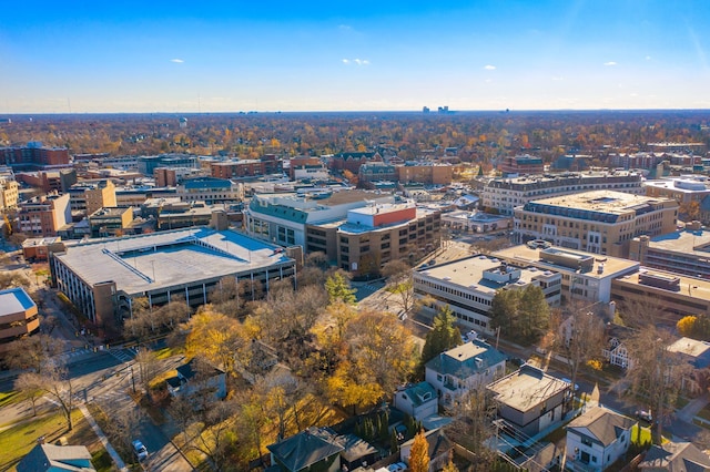 330 Ferndale Ave, Birmingham, MI 48009 - view of urban area