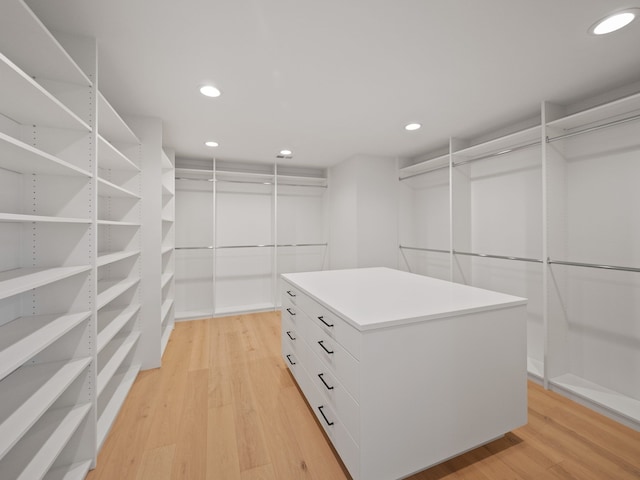 330 Ferndale Ave, Birmingham, MI 48009 - spacious closet with light wood-style floors