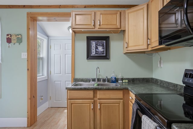 68687 M-43, South Haven, MI 49090 - kitchen with black appliances, a sink, light brown cabinetry, light wood-style floors, and dark countertops