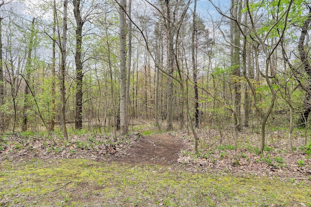 68687 M-43, South Haven, MI 49090 - view of yard with a wooded view