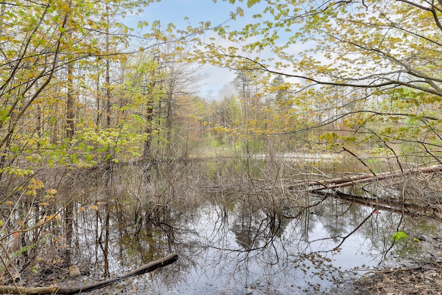 68687 M-43, South Haven, MI 49090 - water view with a forest