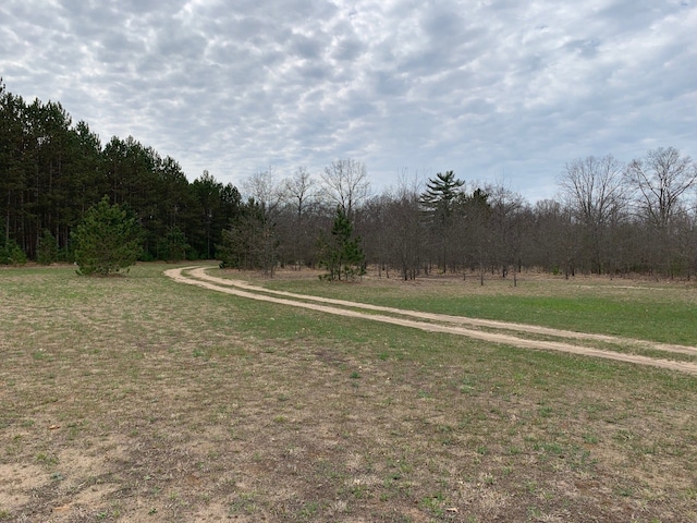 view of street with a wooded view