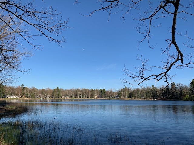 water view with a forest
