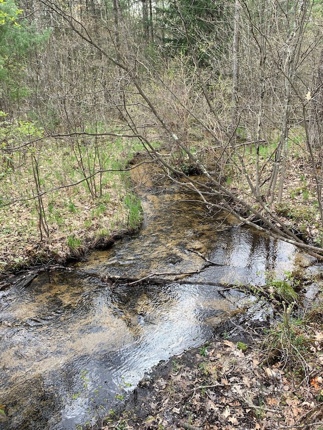 view of local wilderness