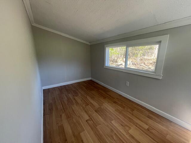 519 Whaley St, Cadillac, MI 49601 - spare room with ornamental molding, wood finished floors, a textured ceiling, and baseboards