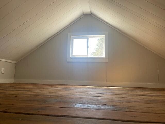 519 Whaley St, Cadillac, MI 49601 - bonus room with hardwood / wood-style floors and vaulted ceiling