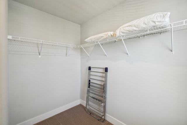 5534 Helmsdale Blvd, West Bloomfield, MI 48322 - walk in closet with dark carpet