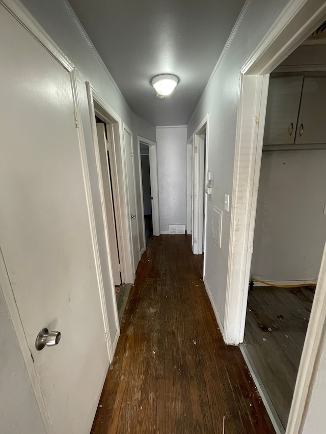 11336 Minock St, Detroit, MI 48228 - corridor featuring dark wood-style flooring