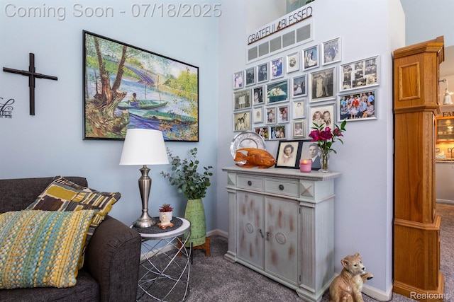 25380 Tara Ln, Flat Rock, MI 48134 - living area with carpet floors and baseboards