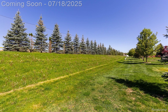 25380 Tara Ln, Flat Rock, MI 48134 - view of grassy yard