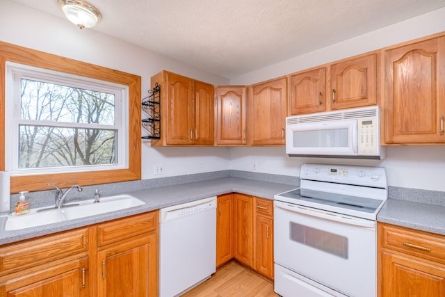 11021 Heather Ln, Canadian Lakes, MI 49346 - kitchen featuring white appliances, a sink, light countertops, light wood-style flooring, and a textured ceiling