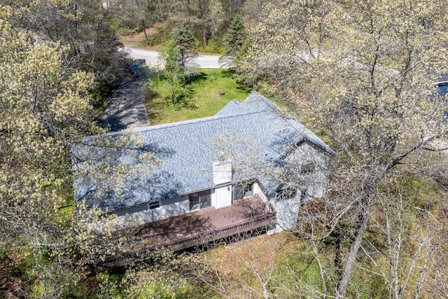 11021 Heather Ln, Canadian Lakes, MI 49346 - view from above of property