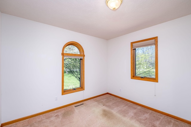 11021 Heather Ln, Canadian Lakes, MI 49346 - carpeted spare room featuring baseboards