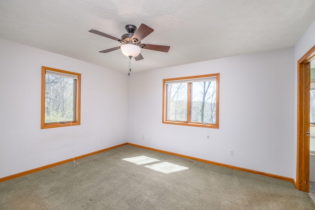 11021 Heather Ln, Canadian Lakes, MI 49346 - carpeted spare room featuring plenty of natural light, baseboards, ceiling fan, and a textured ceiling