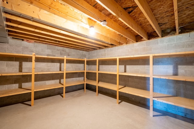11021 Heather Ln, Canadian Lakes, MI 49346 - view of storage area