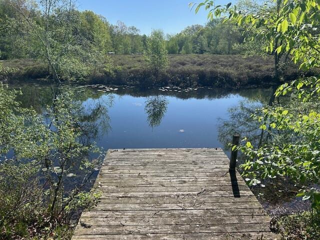 11021 Heather Ln, Canadian Lakes, MI 49346 - dock area featuring a water view