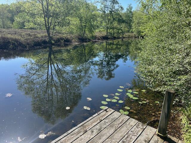11021 Heather Ln, Canadian Lakes, MI 49346 - dock featuring a water view