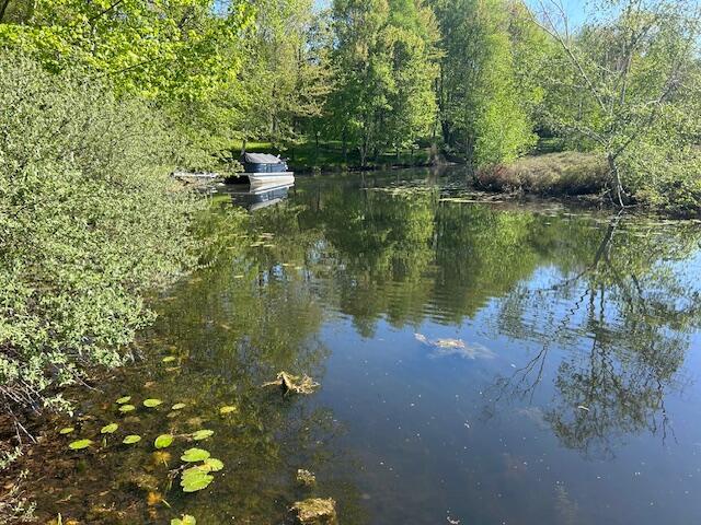 11021 Heather Ln, Canadian Lakes, MI 49346 - water view featuring a forest