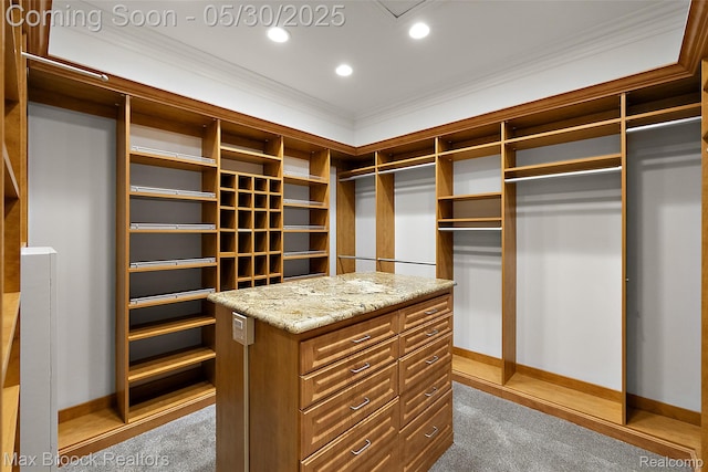 222 Arlington St, Birmingham, MI 48009 - spacious closet with carpet floors