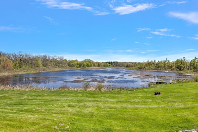 5060 Pratt Rd, Metamora, MI 48455 - water view with a forest