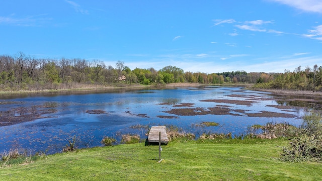 5060 Pratt Rd, Metamora, MI 48455 - water view featuring a heavily wooded area and a boat dock