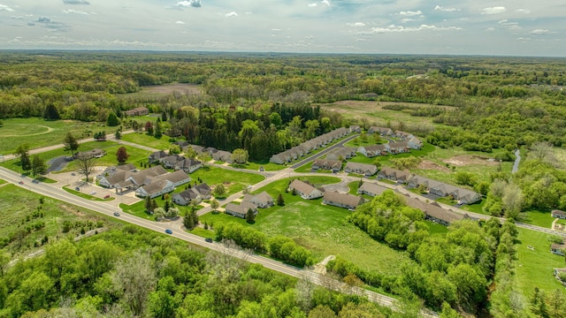 3605 Terrace Hills Ln, Jackson, MI 49203 - drone / aerial view of a forest