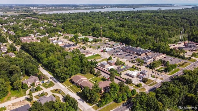 24111 Meridian Rd Unit 116, Grosse Ile, MI 48138 - aerial view of property and surrounding area featuring a nearby body of water, a forest, and nearby suburban area