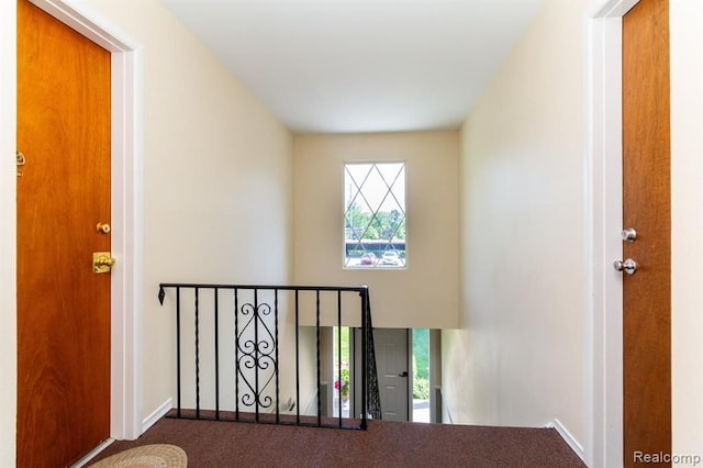 24111 Meridian Rd Unit 116, Grosse Ile, MI 48138 - stairway featuring carpet and baseboards
