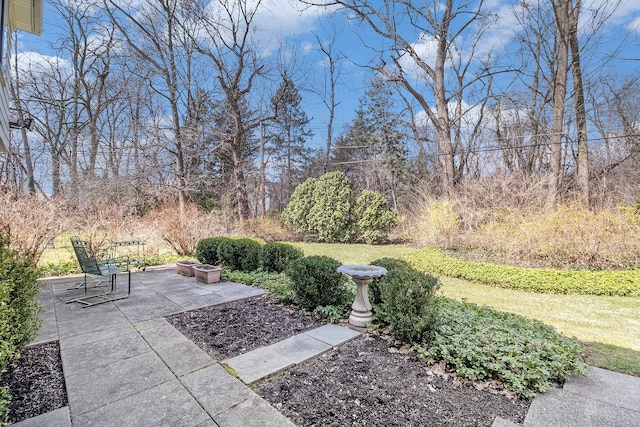 1750 Tiverton Rd Unit 28, Bloomfield Hills, MI 48304 - view of yard featuring a patio