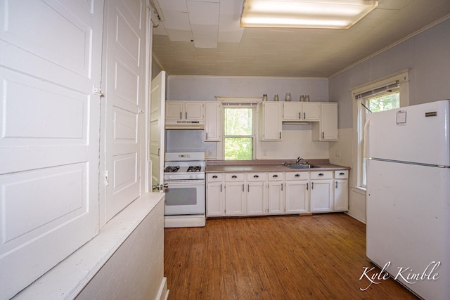 kitchen featuring white appliances, a sink, under cabinet range hood, light wood-style floors, and ornamental molding