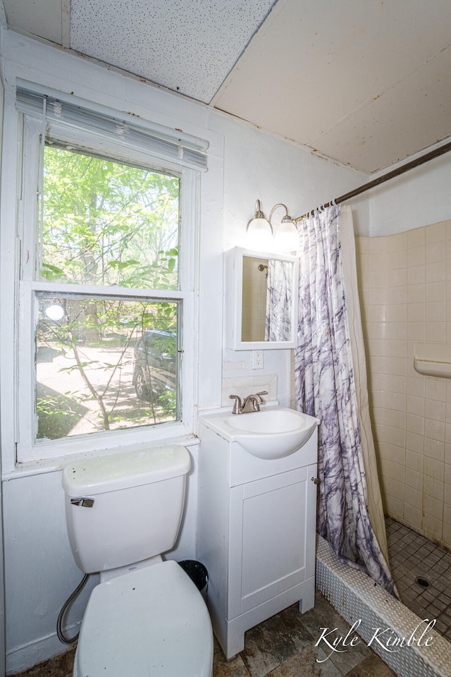 bathroom with toilet, a stall shower, and vanity