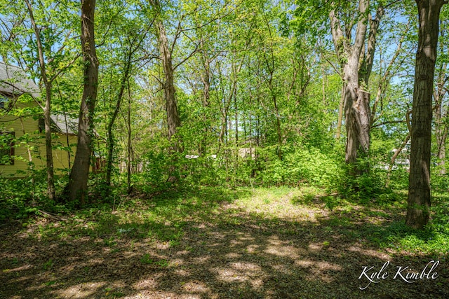 view of undeveloped land