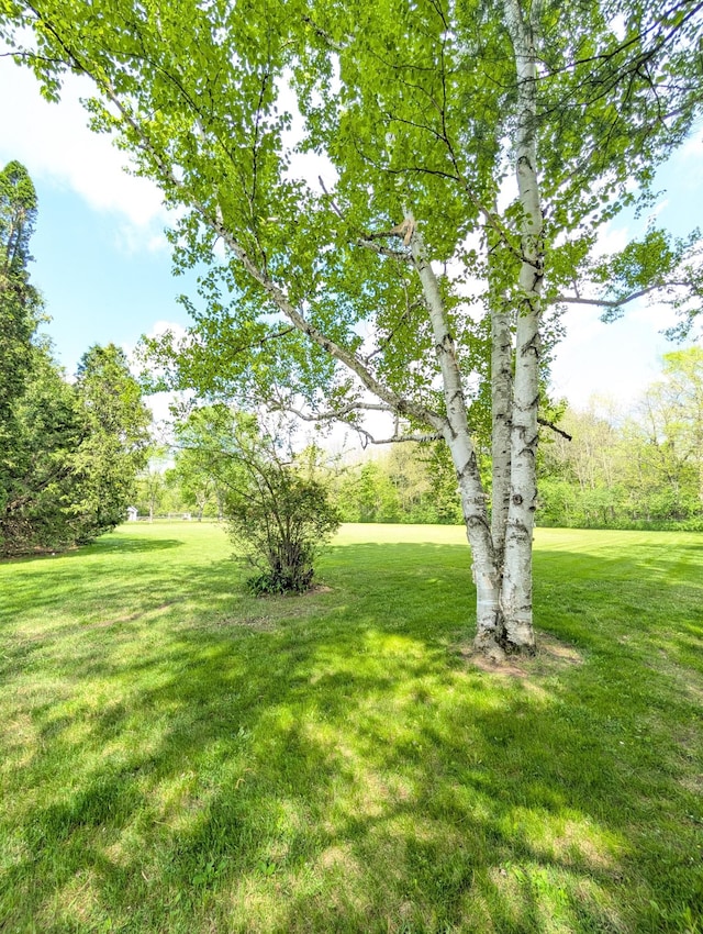 view of green lawn