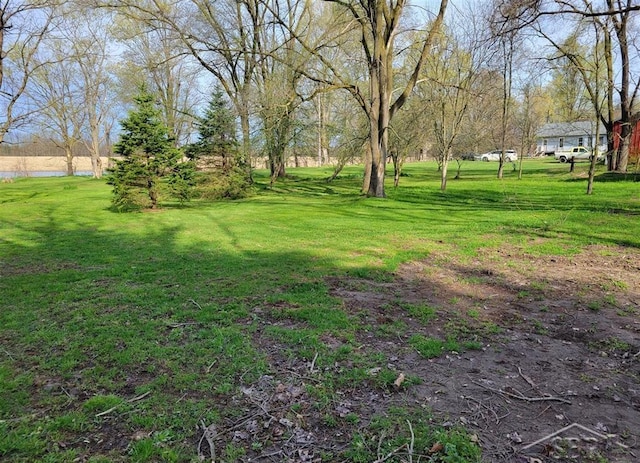 25161 59 1/2 St, Bangor, MI 49013 - view of green lawn