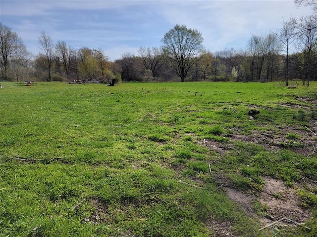 25161 59 1/2 St, Bangor, MI 49013 - view of yard featuring a view of countryside